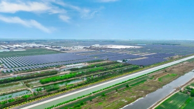 寒亭固堤街道-2 寒亭固堤街道-2